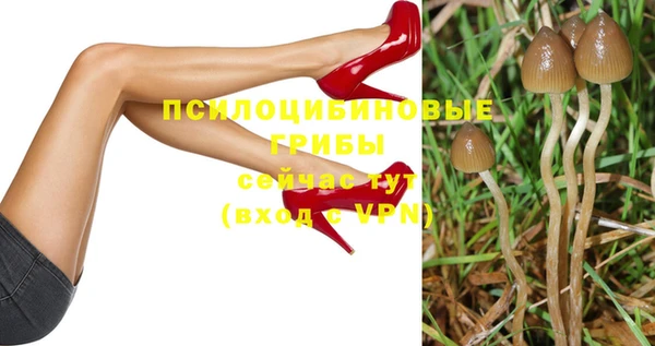 гашиш Козельск