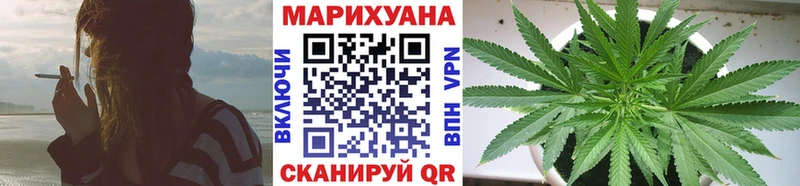 Конопля OG Kush  купить   OMG сайт  Михайловка 